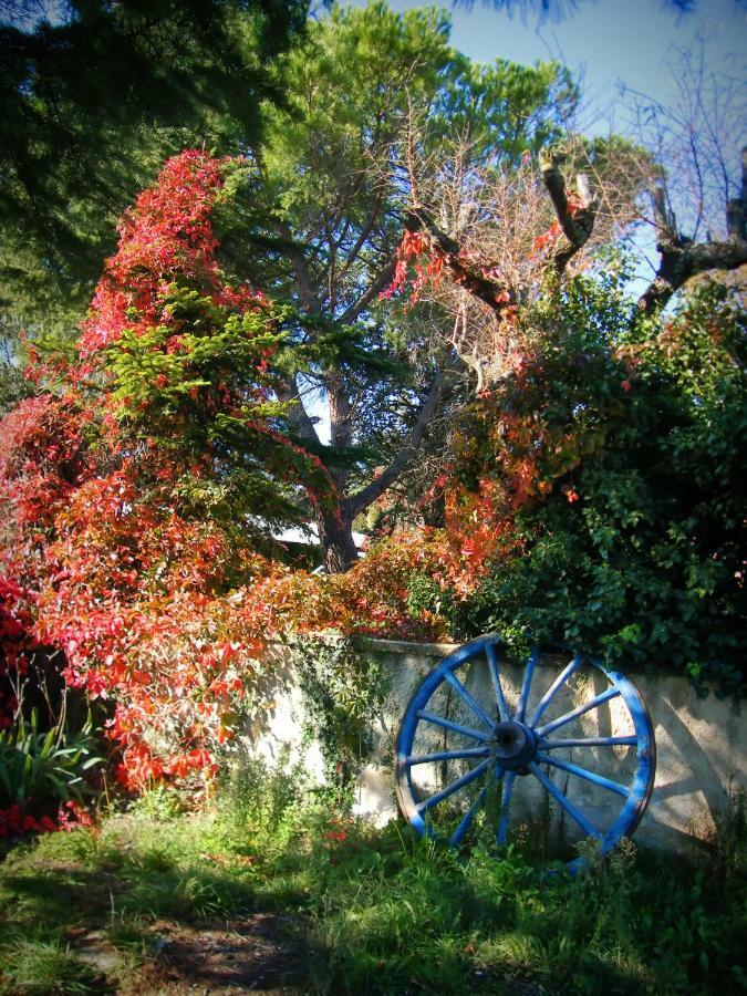 Lo Rastelie Bed and Breakfast Suze-la-Rousse Buitenkant foto